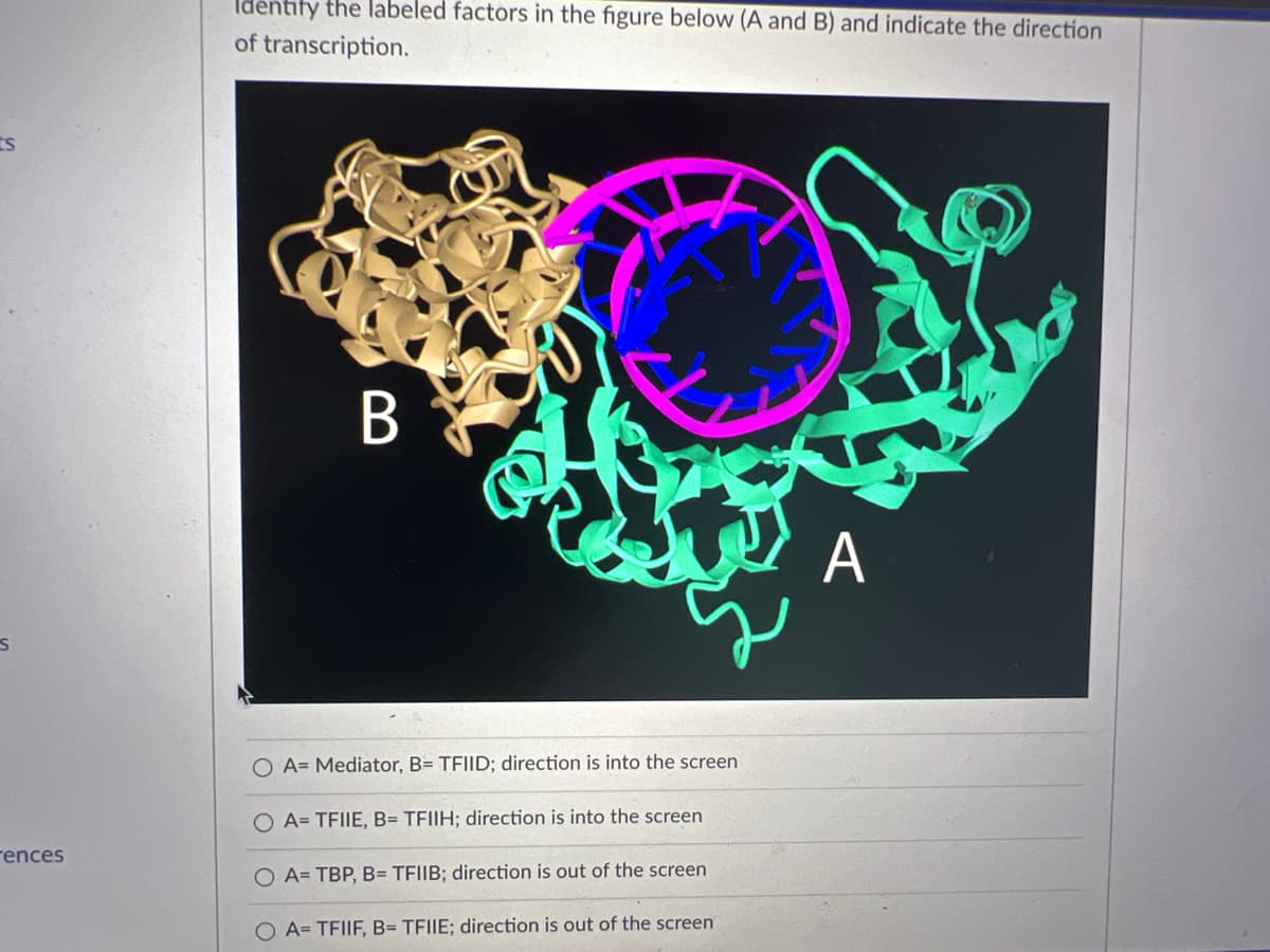 Identify the labeled factors in the figure below (A and B) and indicate the direction
of transcription.
ts
A
O A= Mediator, B= TFIID; direction is into the screen
O A= TEIIE, B= TFIIH; direction is into the screen
rences
A= TBP, B= TEIIB; direction is out of the screen
O A= TFIIF, B= TFIIE; direction is out of the screen
