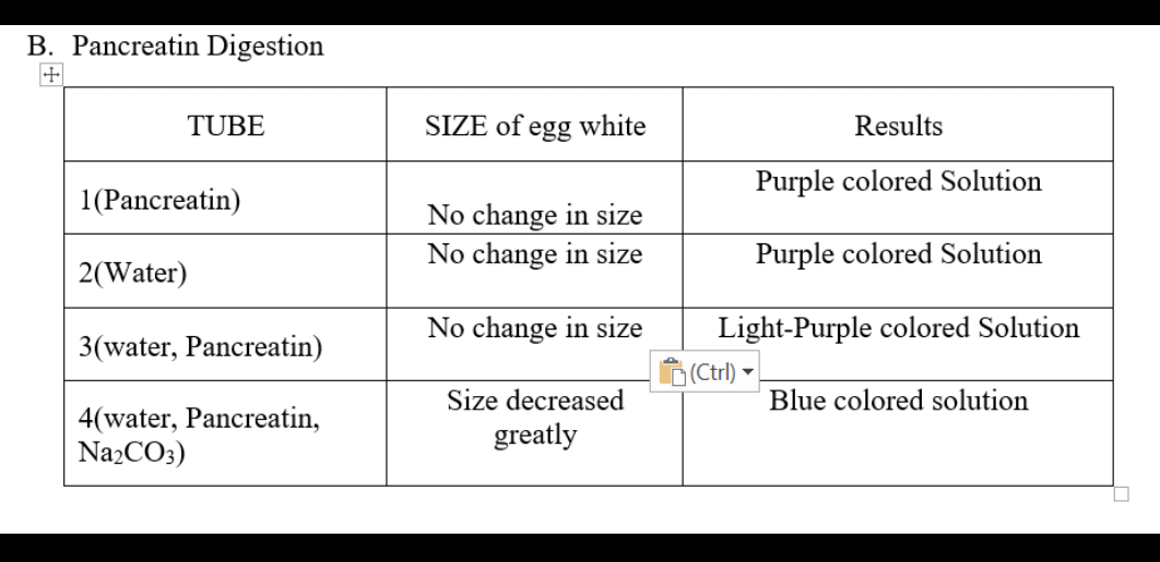 B. Pancreatin Digestion
TUBE
SIZE of egg white
Results
Purple colored Solution
1(Pancreatin)
No change in size
No change in size
Purple colored Solution
2(Water)
No change in size
Light-Purple colored Solution
3(water, Pancreatin)
(Ctrl) -
Blue colored solution
Size decreased
4(water, Pancreatin,
Na2CO3)
greatly
