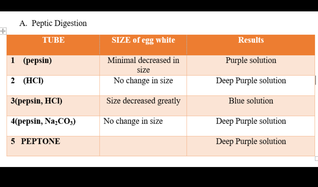 A. Peptic Digestion
TUBE
SIZE of egg white
Results
1 (реpsin)
Minimal decreased in
Purple solution
size
2 (НCI)
No change in size
Deep Purple solution
3(реpsin, HC)
Size decreased greatly
Blue solution
4(реpsin, NazCO;)
No change in size
Deep Purple solution
5 PΕPΤΟNE
Deep Purple solution
