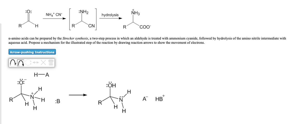 :0:
:NH2
hydrolysis
NH3
NH,* CN"
`H
R
`CN
R
a-amino acids can be prepared by the Strecker synthesis, a two-step process in which an aldehyde is treated with ammonium cyanide, followed by hydrolysis of the amino nitrile intermediate with
aqueous acid. Propose a mechanism for the illustrated step of the reaction by drawing reaction arrows to show the movement of electrons.
Arrow-pushing Instructions
H-A
:0:
:ÖH
R
H.
:B
A
НВ
R
--
