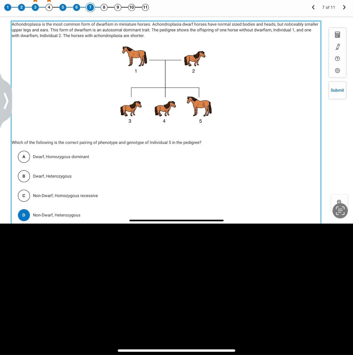 1
6
Achondroplasia is the most common form of dwarfism in miniature horses. Achondroplasia dwarf horses have normal sized bodies and heads, but noticeably smaller
upper legs and ears. This form of dwarfism is an autosomal dominant trait. The pedigree shows the offspring of one horse without dwarfism, Individual 1, and one
with dwarfism, Individual 2. The horses with achondroplasia are shorter.
B
A Dwarf, Homozygous dominant
C
7
Dwarf, Heterozygous
Non-Dwarf, Homozygous recessive
D Non-Dwarf, Heterozygous
3
Which of the following is the correct pairing of phenotype and genotype of Individual 5 in the pedigree?
11
1
4
2
5
7 of 11
?
>
Submit
€