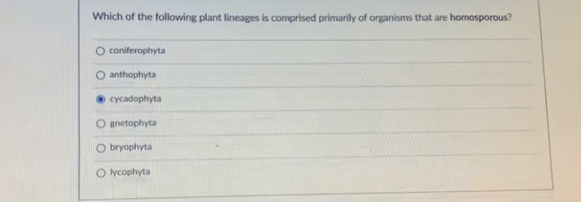 Which of the following plant lineages is comprised primarily of organisms that are homosporous?
O coniferophyta
anthophyta
cycadophyta
O gnetophyta
O bryophyta
O ycophyta
