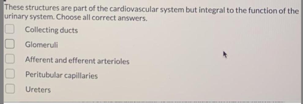 These structures are part of the cardiovascular system but integral to the function of the
urinary system. Choose all correct answers.
Collecting ducts
Glomeruli
Afferent and efferent arterioles
Peritubular capillaries
Ureters
