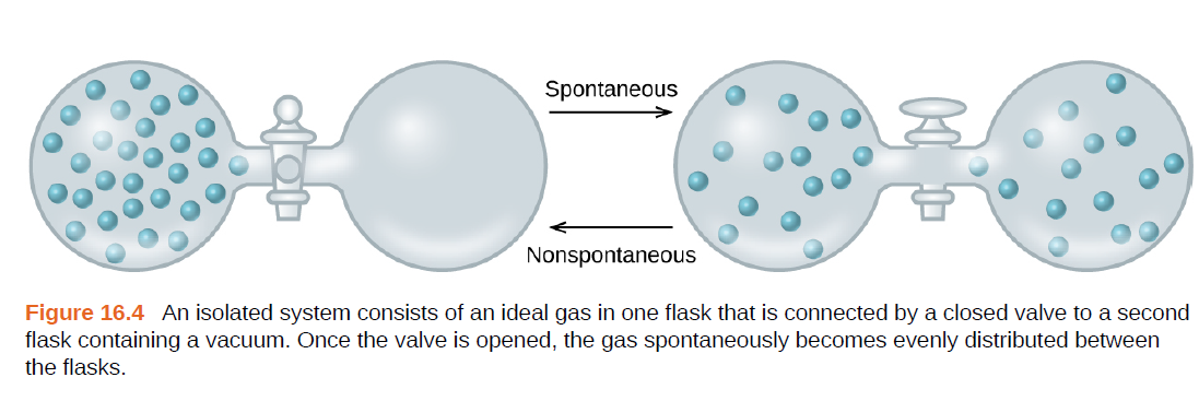 Spontaneous
Nonspontaneous
Figure 16.4 An isolated system consists of an ideal gas in one flask that is connected by a closed valve to a second
flask containing a vacuum. Once the valve is opened, the gas spontaneously becomes evenly distributed between
the flasks.
