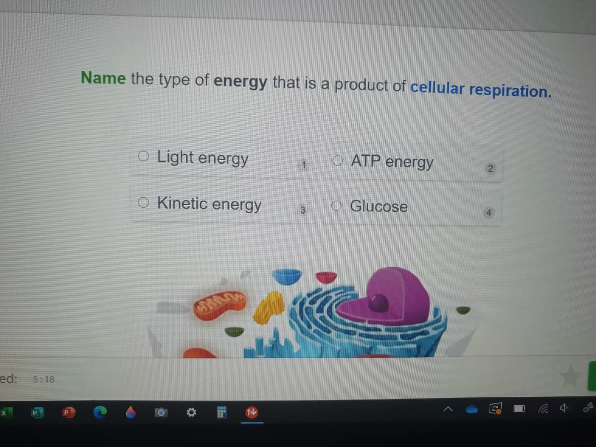 Name the type of energy that is a product of cellular respiration.
O Light energy
o ATP energy
2
Kinetic energy
O Glucose
3
ed:
5:18
