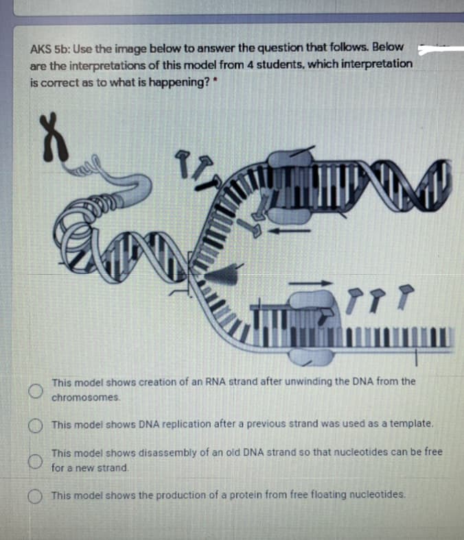 AKS 5b: Use the image below to answer the question that follows. Below
are the interpretations of this model from 4 students, which interpretation
is correct as to what is happening? *
Ton
This model shows creation of an RNA strand after unwinding the DNA from the
chromosomes.
O This model shows DNA replication after a previous strand was used as a template.
This model shows disassembly of an old DNA strand so that nucleotides can be free
for a new strand.
This model shows the production of a protein from free floating nucleotides.

