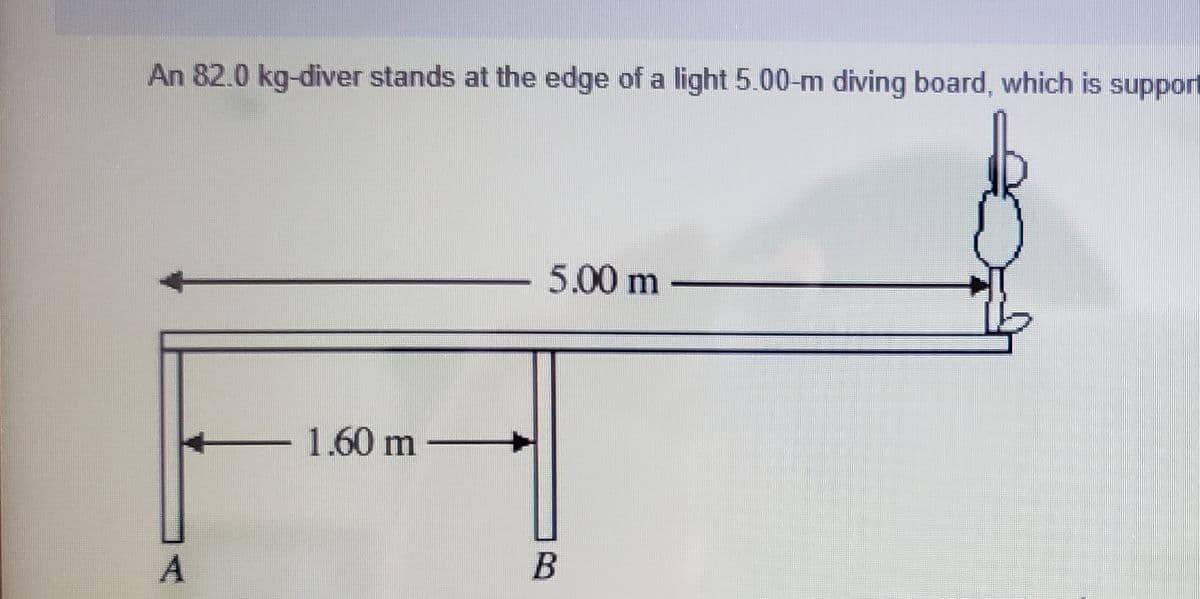 An 82.0 kg-diver stands at the edge of a light 5.00-m diving board, which is support
5.00 m
1.60 m -
B
