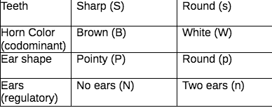 Тeeth
Sharp (S)
Round (s)
Horn Color
(codominant)
Ear shape
Brown (B)
White (W)
Pointy (P)
Round (p)
Two ears (n)
Ears
(regulatory)
No ears (N)
