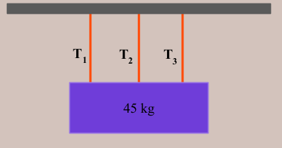 T,
T,
3.
45 kg

