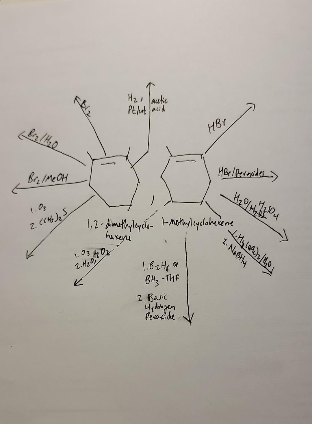 (Brz / H₂O
Briмеон
2. (CH)₂ S
Z.
J
H₂ autic
Pt/eat acid
1,2-dimethylcyclo- 1-methylcyclohexene
hexeni
1.8₂ 46 or
BH₂-THE
1.03
2.4/20/1/202
2. Basic
Hydrogen
Peroxide
HBr
HBr / Peroxides)
me 1.My LoAD2/1/201
, нагол
₂0/11/201
2. Nastly