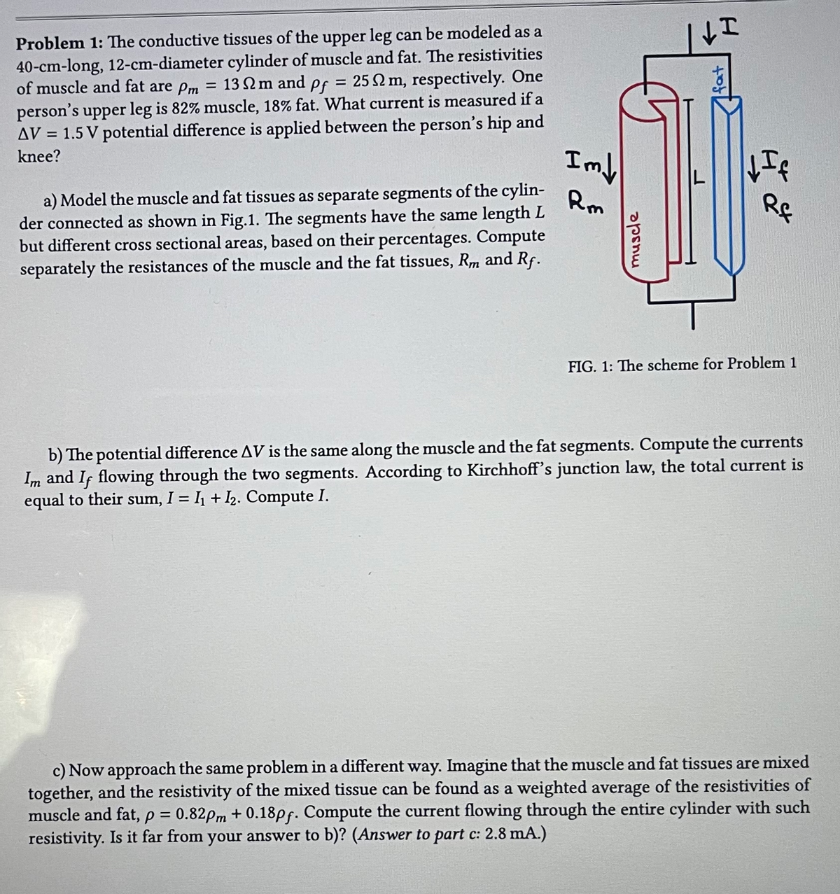 Problem 1: The conductive tissues of the upper leg can be modeled as a
40-cm-long, 12-cm-diameter cylinder of muscle and fat. The resistivities
of muscle and fat are Pm = 132 m and pf = 252 m, respectively. One
person's upper leg is 82% muscle, 18% fat. What current is measured if a
AV = 1.5 V potential difference is applied between the person's hip and
knee?
a) Model the muscle and fat tissues as separate segments of the cylin-
der connected as shown in Fig.1. The segments have the same length L
but different cross sectional areas, based on their percentages. Compute
separately the resistances of the muscle and the fat tissues, Rm and Rf.
Im↓
Rm
muscle
I
fat
↓If
Rf
FIG. 1: The scheme for Problem 1
b) The potential difference AV is the same along the muscle and the fat segments. Compute the currents
Im and If flowing through the two segments. According to Kirchhoff's junction law, the total current is
equal to their sum, I = I₁+I₂. Compute I.
c) Now approach the same problem in a different way. Imagine that the muscle and fat tissues are mixed
together, and the resistivity of the mixed tissue can be found as a weighted average of the resistivities of
muscle and fat, p = 0.82pm +0.18pf. Compute the current flowing through the entire cylinder with such
resistivity. Is it far from your answer to b)? (Answer to part c: 2.8 mA.)