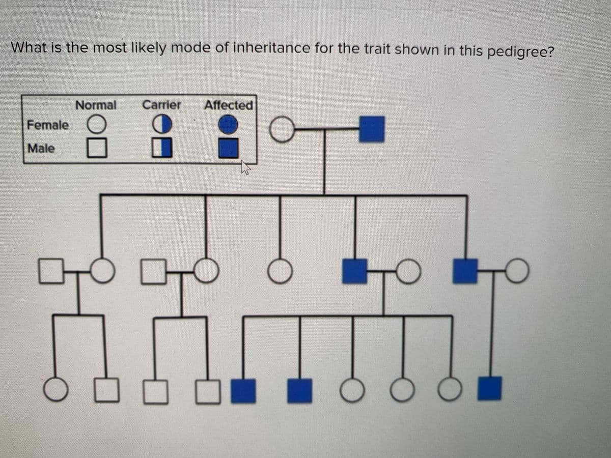 What is the most likely mode of inheritance for the trait shown in this pedigree?
Normal
Carrier
Affected
Female
Male
OD
