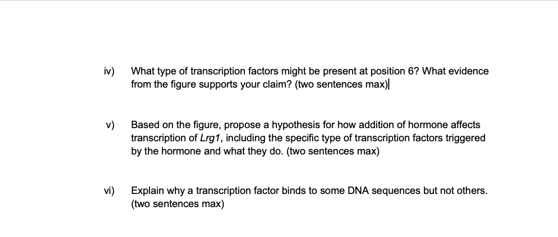iv)
What type of transcription factors might be present at position 6? What evidence
from the figure supports your claim? (two sentences max)
Based on the figure, propose a hypothesis for how addition of hormone affects
transcription of Lrg1, including the specific type of transcription factors triggered
by the hormone and what they do. (two sentences max)
v)
vi)
Explain why a transcription factor binds to some DNA sequences but not others.
(two sentences max)
