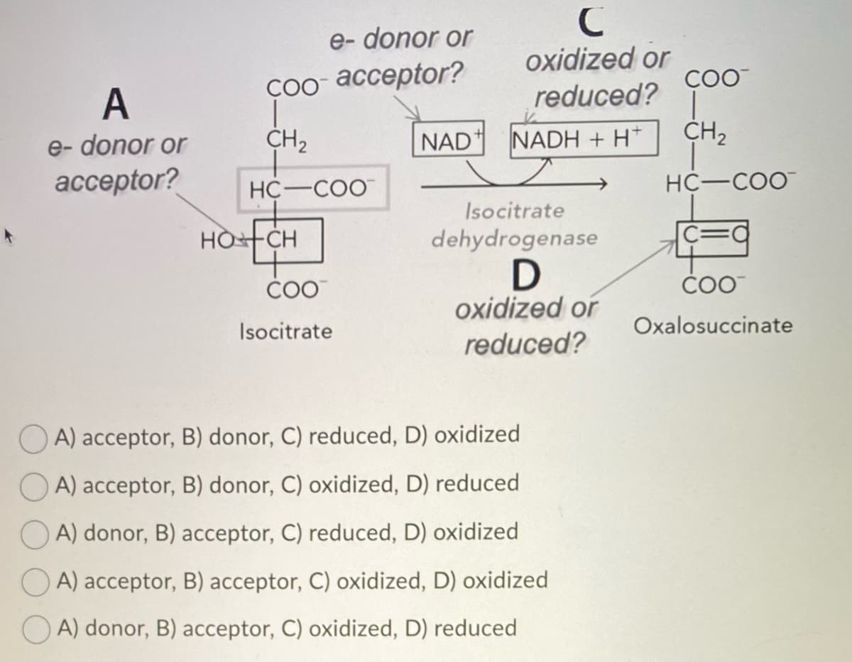 A
e-donor or
acceptor?
HỒ
e-donor or
Coo-acceptor?
T
CH₂
HC-COO
CH
4
COO™
Isocitrate
NAD
C
oxidized or
reduced?
NADH + H
Iso citrate
dehydrogenase
D
oxidized or
reduced?
OA) acceptor, B) donor, C) reduced, D) oxidized
OA) acceptor, B) donor, C) oxidized, D) reduced
A) donor, B) acceptor, C) reduced, D) oxidized
A) acceptor, B) acceptor, C) oxidized, D) oxidized
A) donor, B) acceptor, C) oxidized, D) reduced
COO™
|
CH₂
HC-COO
COO
Oxalosuccinate