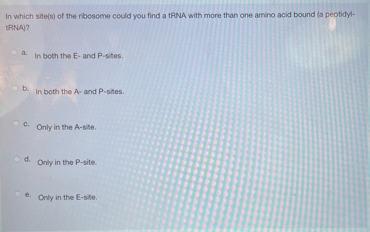 In which site(s) of the ribosome could you find a tRNA with more than one amino acid bound (a peptidyl-
TRNA)?
a.
In both the E- and P-sites.
b.
In both the A- and P-sites.
С.
Only in the A-site.
d.
Only in the P-site.
e.
Only in the E-site.
