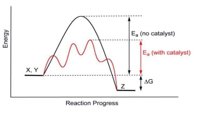 Ea (no catalyst)
Ea (with catalyst)
X, Y
AG
Reaction Progress
Energy
