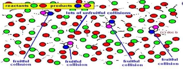 reactants
products
lots of unfruitful collisions,
(c) doc b
fruitful
fruitful
collision
fruitful
collision
fruitful
collision
collision
