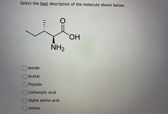 Select the best description of the molecule shown below.
NH₂
Amide
Acetal
Peptide
Carboxylic acid
Alpha amino acid
Amine
OH