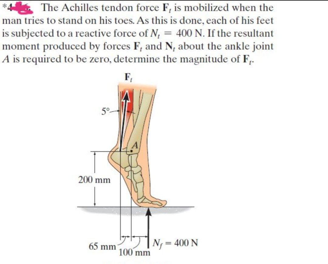The Achilles tendon force F, is mobilized when the
man tries to stand on his toes. As this is done, each of his feet
is subjected to a reactive force of N, = 400 N. If the resultant
moment produced by forces F, and N, about the ankle joint
A is required to be zero, determine the magnitude of F,.
F,
5°-
200 mm
65 mm
N = 400 N
100 mm
