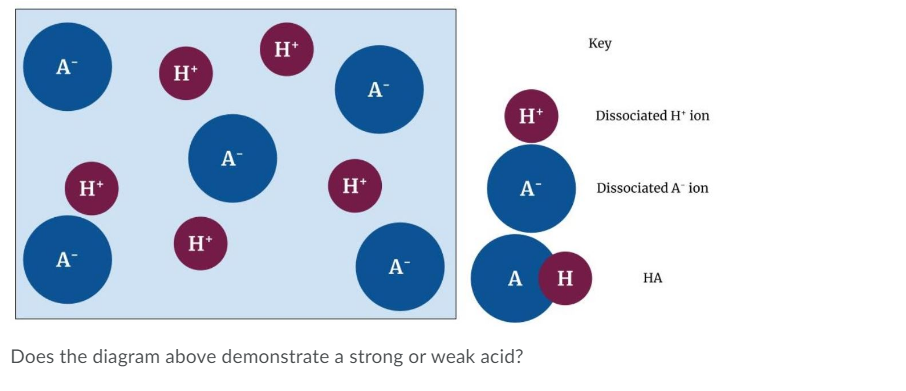 H*
Кey
A-
H*
A-
H*
Dissociated H* ion
A-
H*
H*
A
Dissociated A ion
H*
A-
A-
A H
НА
Does the diagram above demonstrate a strong or weak acid?
