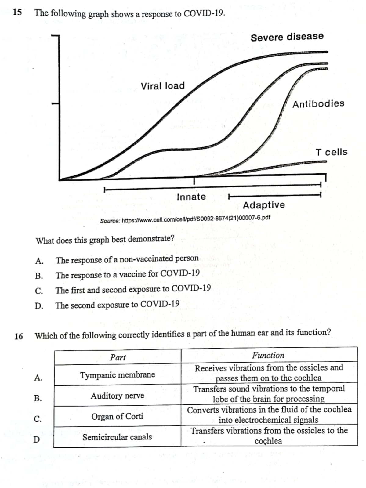 15
16
The following graph shows a response to COVID-19.
Source:
What does this graph best demonstrate?
A.
B.
C.
D.
A.
B.
C.
Viral load
D
Innate
https://www.cell.com/cell/pdf/S0092-8674(21)00007-6.pdf
The response of a non-vaccinated person
The response to a vaccine for COVID-19
The first and second exposure to COVID-19
The second exposure to COVID-19
Part
Which of the following correctly identifies a part of the human ear and its function?
Severe disease
Tympanic membrane
Auditory nerve
Organ of Corti
Semicircular canals
Adaptive
Antibodies
T cells
Function
Receives vibrations from the ossicles and
passes them on to the cochlea
Transfers sound vibrations to the temporal
lobe of the brain for processing
Converts vibrations in the fluid of the cochlea
into electrochemical signals
Transfers vibrations from the ossicles to the
cochlea