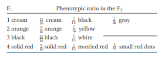 F
Phenotypic ratio in the F2
å black
i orange i yellow
A white
4 solid red solid red i mottled red å small red dots
1 cream
E cream
à gray
2 orange
З Ыack
H black
16
