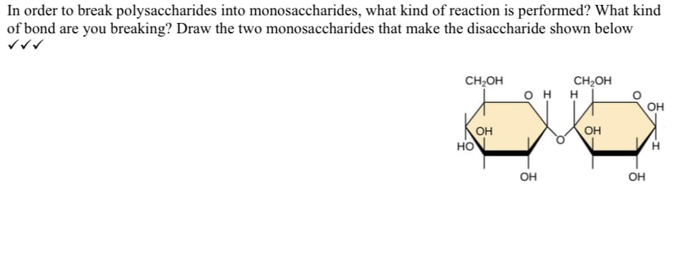 In order to break polysaccharides into monosaccharides, what kind of reaction is performed? What kind
of bond are you breaking? Draw the two monosaccharides that make the disaccharide shown below
WWW
CH₂OH
НО
OH
он
L
ОН
CH₂OH
Н
OH
ОН
ОН
Н
