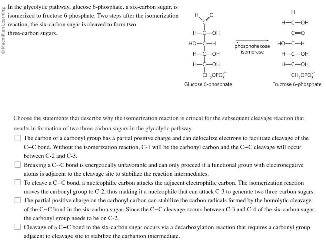 Macmillan Learning
In the glycolytic pathway, glucose 6-phosphate, a six-carbon sugar, is
isomerized to fructose 6-phosphate. Two steps after the isomerization
reaction, the six-carbon sugar is cleaved to form two
three-carbon sugars.
H-
-OH
H
H-C- -OH
HO
H-C-OH
CH₂OPO
Glucose 6-phosphate
phosphohexose
isomerase
H
H-C-OH
O
HO-C-H
H-C-OH
H-C -OH
CH₂OPO
Fructose 6-phosphate
Choose the statements that describe why the isomerization reaction is critical for the subsequent cleavage reaction that
results in formation of two three-carbon sugars in the glycolytic pathway.
The carbon of a carbonyl group has a partial positive charge and can delocalize electrons to facilitate cleavage of the
C-C bond. Without the isomerization reaction, C-1 will be the carbonyl carbon and the C-C cleavage will occur
between C-2 and C-3.
Breaking a C-C bond is energetically unfavorable and can only proceed if a functional group with electronegative
atoms is adjacent to the cleavage site to stabilize the reaction intermediates.
To cleave a C-C bond, a nucleophilic carbon attacks the adjacent electrophilic carbon. The isomerization reaction
moves the carbonyl group to C-2, thus making it a nucleophile that can attack C-3 to generate two three-carbon sugars.
The partial positive charge on the carbonyl carbon can stabilize the carbon radicals formed by the homolytic cleavage
of the C-C bond in the six-carbon sugar. Since the C-C cleavage occurs between C-3 and C-4 of the six-carbon sugar,
the carbonyl group needs to be on C-2.
Cleavage of a C-C bond in the six-carbon sugar occurs via a decarboxylation reaction that requires a carbonyl group
adjacent to cleavage site to stabilize the carbanion intermediate.