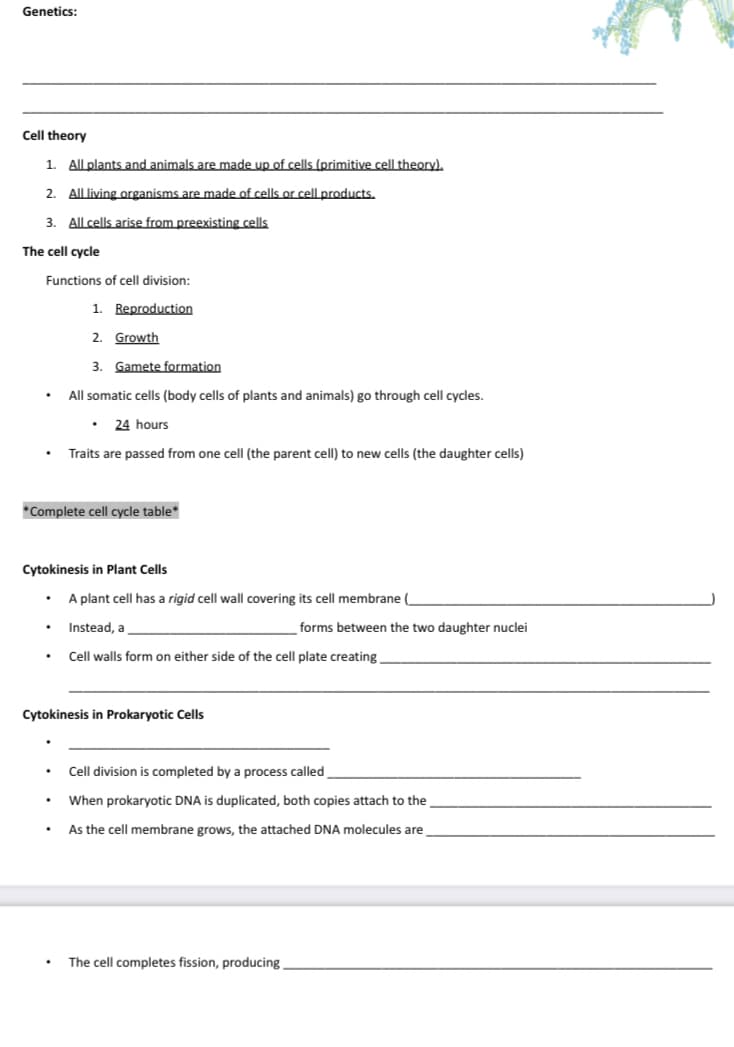 Genetics:
Cell theory
1. All plants and animals are made up of cells (primitive cell theory).
2.
All living organisms are made of cells or cell products.
3. All cells arise from preexisting cells
Functions of cell division:
1. Reproduction
2. Growth
3. Gamete formation
All somatic cells (body cells of plants and animals) go through cell cycles.
24 hours
Traits are passed from one cell (the parent cell) to new cells (the daughter cells)
A plant cell has a rigid cell wall covering its cell membrane (
Instead, a
forms between the two daughter nuclei
Cell walls form on either side of the cell plate creating
Cell division is completed by a process called
When prokaryotic DNA is duplicated, both copies attach to the
As the cell membrane grows, the attached DNA molecules are
The cell completes fission, producing.
The cell cycle
*Complete cell cycle table*
Cytokinesis in Plant Cells
Cytokinesis in Prokaryotic Cells
.