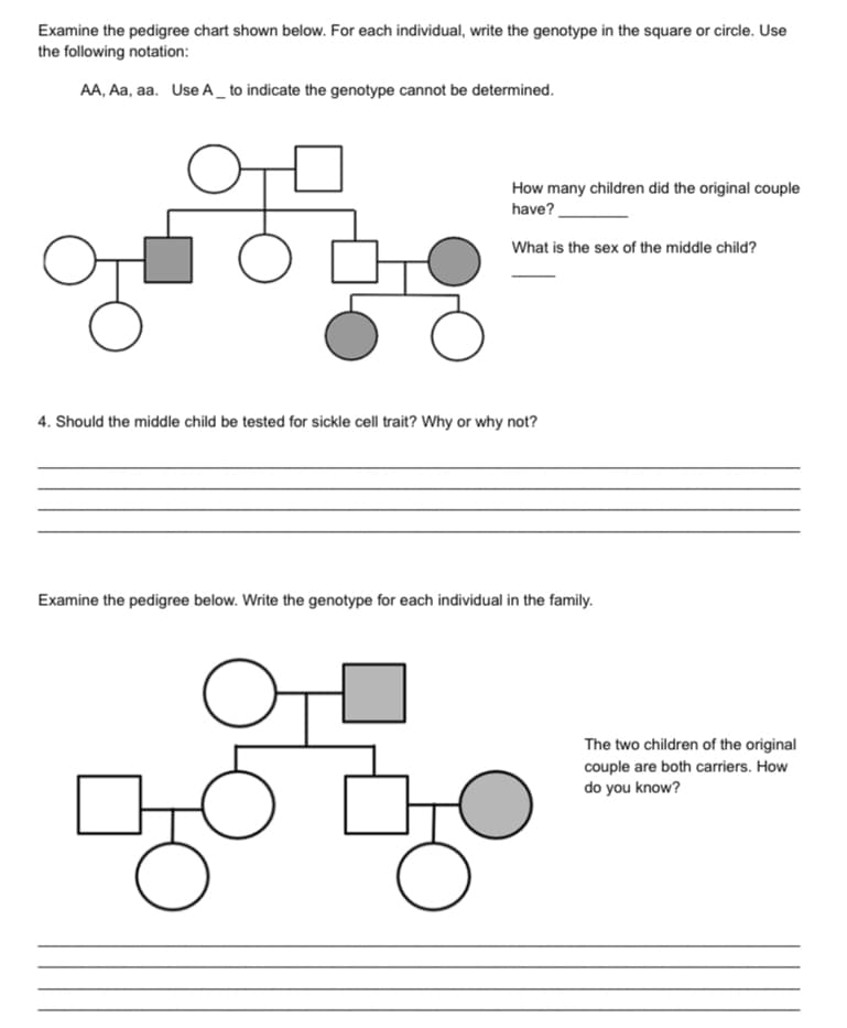 Examine the pedigree chart shown below. For each individual, write the genotype in the square or circle. Use
the following notation:
AA, Aa, aa. Use A_ to indicate the genotype cannot be determined.
How many children did the original couple
have?
What is the sex of the middle child?
O
4. Should the middle child be tested for sickle cell trait? Why or why not?
Examine the pedigree below. Write the genotype for each individual in the family.
50 2
Lo
The two children of the original
couple are both carriers. How
do you know?