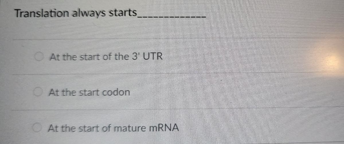 Translation always starts_
At the start of the 3' UTR
At the start codon
At the start of mature mRNA