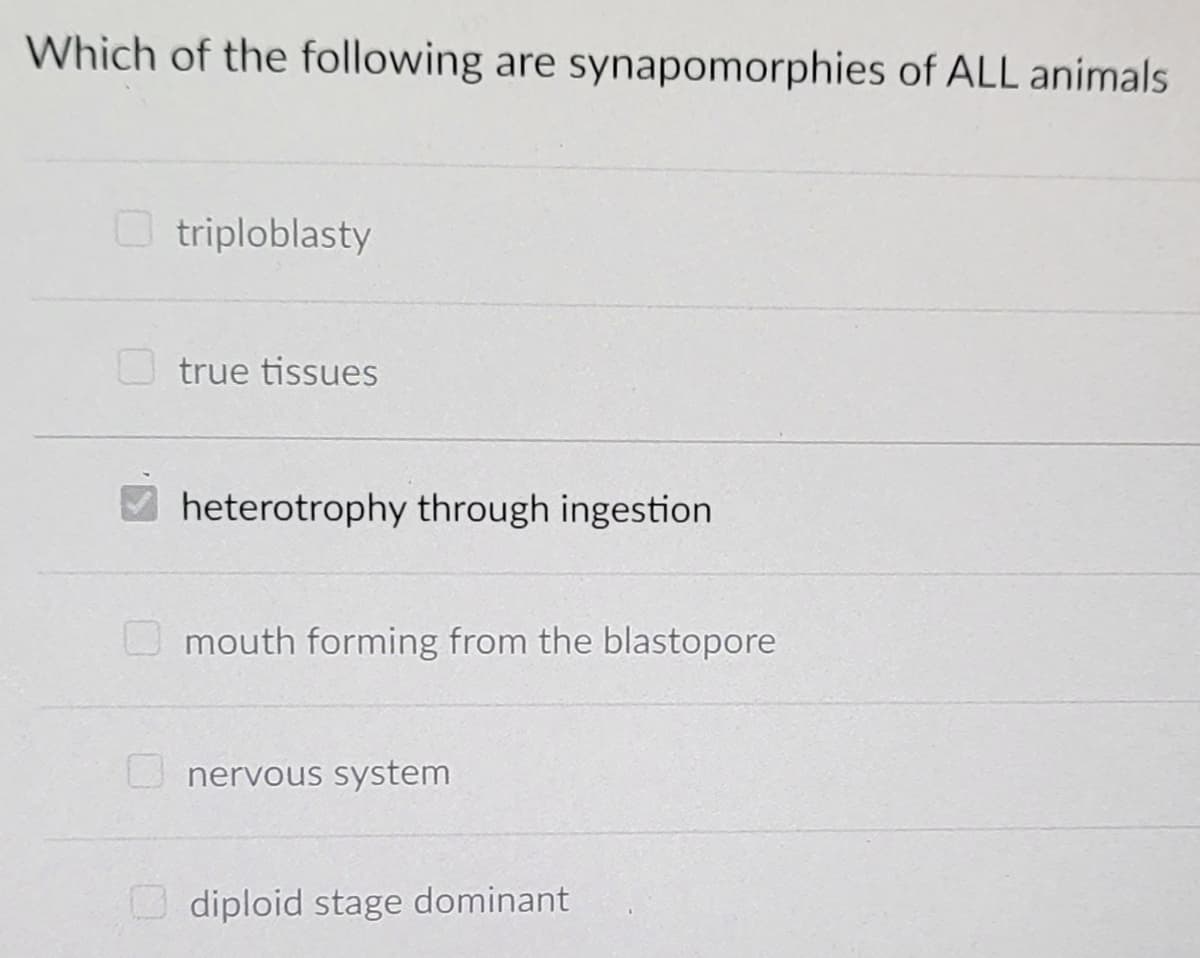 Which of the following are synapomorphies of ALL animals
triploblasty
true tissues
heterotrophy through ingestion
mouth forming from the blastopore
nervous system
diploid stage dominant