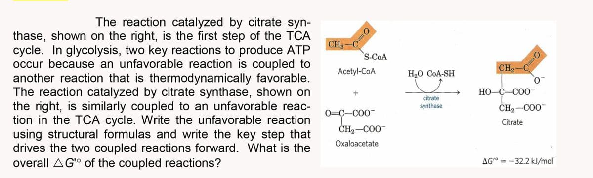 The reaction catalyzed by citrate syn-
thase, shown on the right, is the first step of the TCA
cycle. In glycolysis, two key reactions to produce ATP
occur because an unfavorable reaction is coupled to
another reaction that is thermodynamically favorable.
The reaction catalyzed by citrate synthase, shown on
the right, is similarly coupled to an unfavorable reac-
tion in the TCA cycle. Write the unfavorable reaction
using structural formulas and write the key step that
drives the two coupled reactions forward. What is the
overall AG'o of the coupled reactions?
CH3-C
>=0
+
S-COA
Acetyl-CoA
0-C-COO-
CH₂-COO
Oxaloacetate
H₂O COA-SH
J
citrate
synthase
CH₂-C
HỌ—C—COO
SO
CH₂-COO
Citrate
AG'= -32.2 kJ/mol