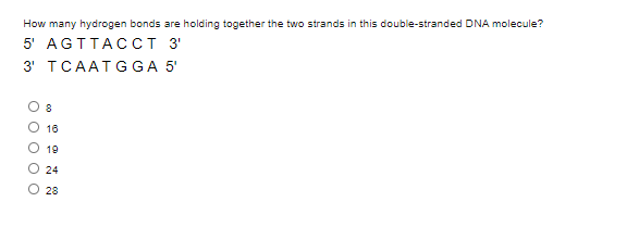 How many hydrogen bonds are holding together the two strands in this double-stranded DNA molecule?
5' AGTTACСТ 3'
з TCAATG GA 5'
O 8
O 16
19
O 24
O 28
