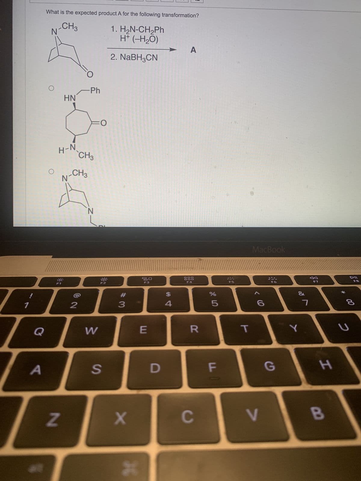 1
Q
A
What is the expected product A for the following transformation?
-CH3
N
O
O
HN
H-N
Z
FO
2
-Ph
CH3
N-CH3
N
FO
W
S
1. HạN-CH,Ph
H+ (-H₂O)
2. NaBH³CN
#
3
X
30
20
F3
E
D
$
4
A
F4
R
C
olo LO
%
5
FL
F5
T
MacBook
V
G
að
Y
7
F7
H
B
*
DII
00
U
F8
8