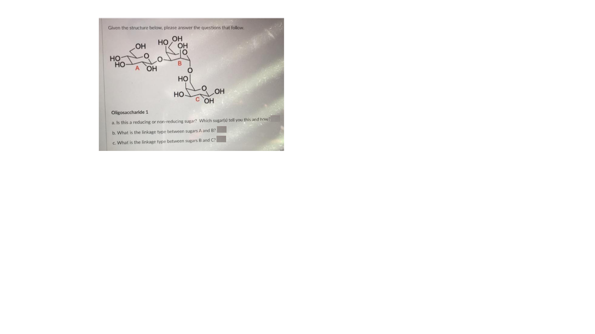 Given the structure below, please answer the questions that follow.
OH
Но
OH
HOʻ
Но
Но
B
A OH
но
Но
OH
C OH
Oligosaccharide 1
a. Is this a reducing or non-reducing sugar? Which sugarts) tell you this and how?
b. What is the linkage type between sugars A and B?
c. What is the linkage type between sugars B and C?
