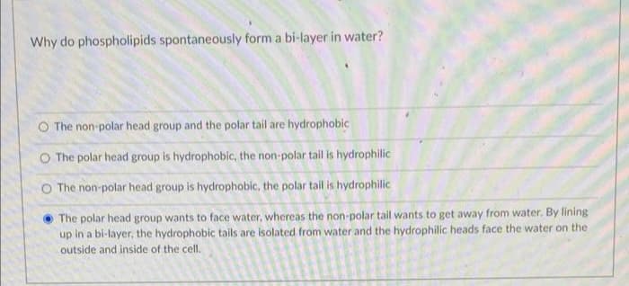 Why do phospholipids spontaneously form a bi-layer in water?
The non-polar head group and the polar tail are hydrophobic
O The polar head group is hydrophobic, the non-polar tail is hydrophilic
O The non-polar head group is hydrophobic, the polar tail is hydrophilic
The polar head group wants to face water, whereas the non-polar tail wants to get away from water. By lining
up in a bi-layer, the hydrophobic tails are isolated from water and the hydrophilic heads face the water on the
outside and inside of the cell.