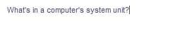 What's in a computer's system unit?|
