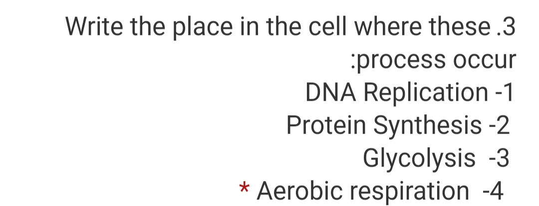 Write the place in the cell where these .3
:process occur
DNA Replication -1
Protein Synthesis -2
Glycolysis -3
Aerobic respiration -4
