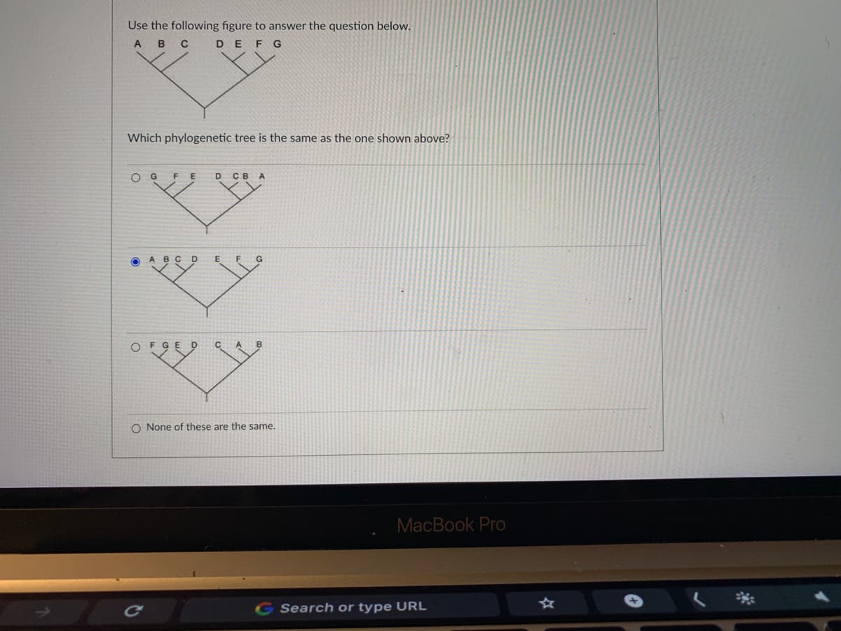 Use the following figure to answer the question below.
A
DE FG
Which phylogenetic tree is the same as the one shown above?
O G
FE
D CB
O None of these are the same.
MacBook Pro
ca
Search or type URL
☆
