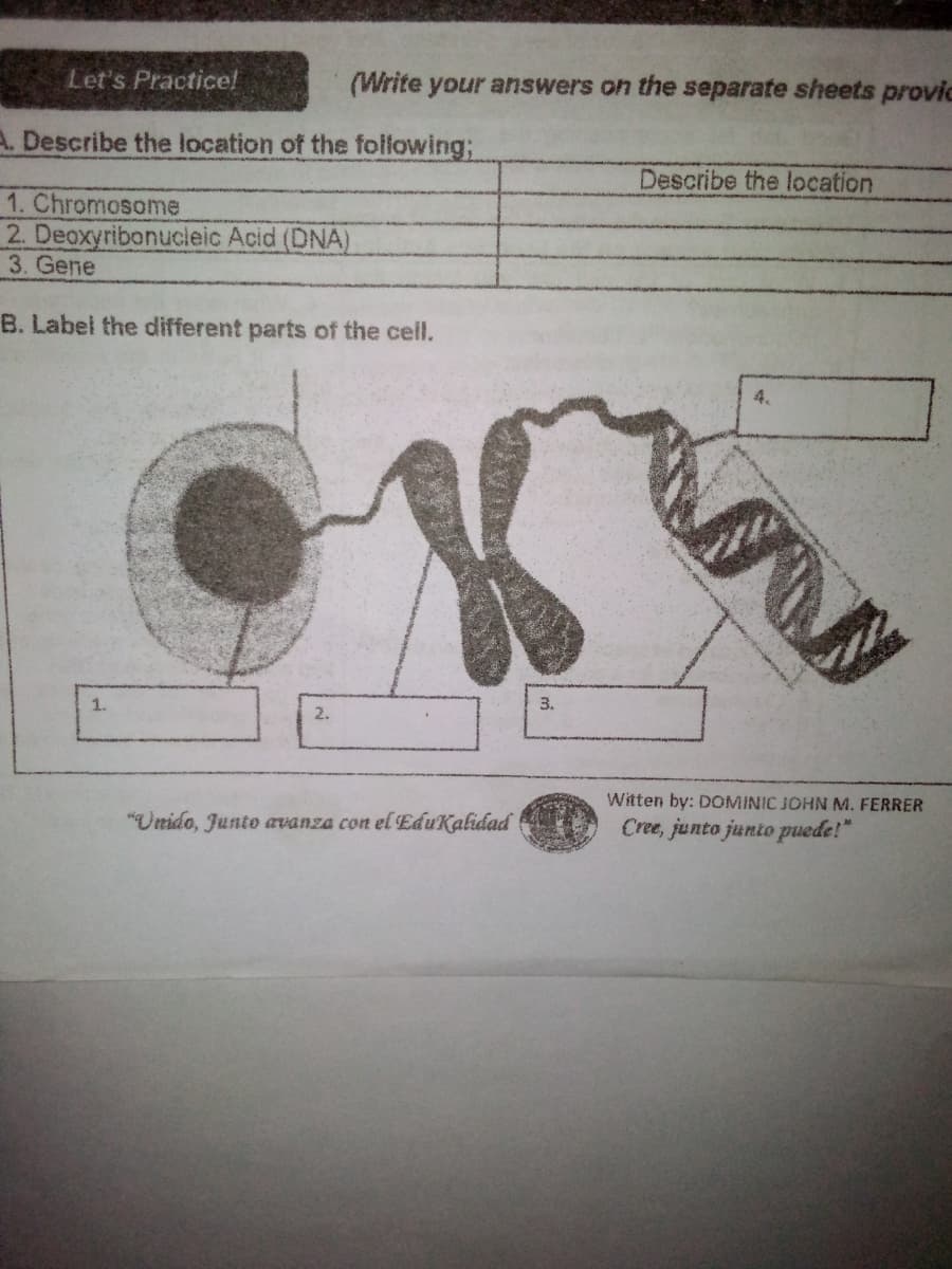 Let's Practice!
(Write your answers on the separate sheets provic
A. Describe the location of the following;
Describe the location
1. Chromosome
2. Deoxyribonucleic Acid (DNA)
3. Gene
B. Label the different parts of the cell.
3.
2.
Witten by: DOMINIC JOHN M. FERRER
"Unido, Junto avanza con el EduKalidad
Cree, junto junto puede!"
