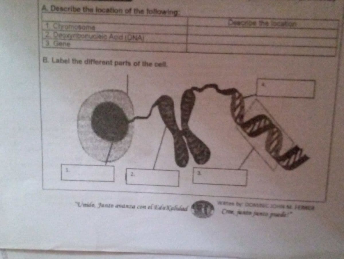 A. Describe the location of the following:
Describe the location
1Chromosome
2.Deoxynibonucieic Acid (ONA)
3Gene
B. Label the different parts of the cell.
2.
waten by OONCIOHN M HERRER
C jute juno puede"
Umido, Junto aanza con el EduKalidad
