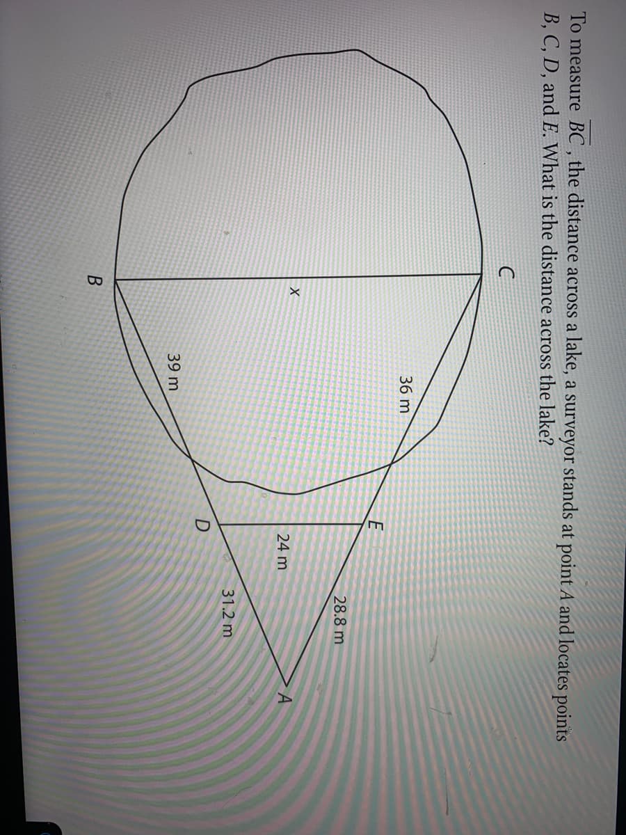 To measure BC , the distance across a lake, a surveyor stands at point A and locates points
B, C, D, and E. What is the distance across the lake?
36 m
28.8 m
24 m
31.2 m
39 m
