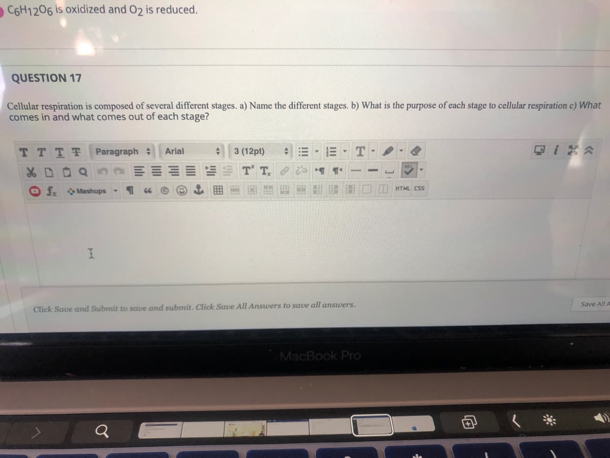 C6H1206 is oxidized and 02 is reduced.
QUESTION 17
Cellular respiration is composed of several different stages. a) Name the different stages. b) What is the purpose of each stage to cellular respiration c) What
comes in and what comes out of each stage?
TTTT
Paragraph
3 (12pt)
只i公
Arial
T T
HTML CSS
O fx Mashups
Save All A
Click Save and Submit to save and submit. Click Save All Answers to save all answers.
MacBook Pro
向
II
