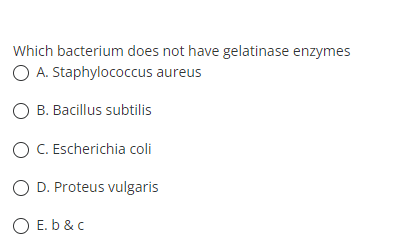 Which bacterium does not have gelatinase enzymes
O A. Staphylococcus aureus
O B. Bacillus subtilis
O C. Escherichia coli
O D. Proteus vulgaris
O E. b & c

