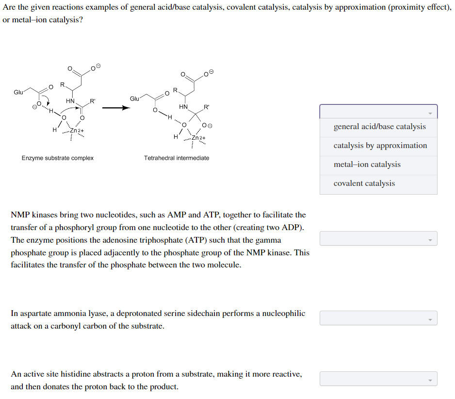 Are the given reactions examples of general acid/base catalysis, covalent catalysis, catalysis by approximation (proximity effect),
or metal-ion catalysis?
Glu
H
R.
HN.
R'
Enzyme substrate complex
Glu
R
H
HN
R'
Zn2+
PERE
Tetrahedral intermediate
NMP kinases bring two nucleotides, such as AMP and ATP, together to facilitate the
transfer of a phosphoryl group from one nucleotide to the other (creating two ADP).
The enzyme positions the adenosine triphosphate (ATP) such that the gamma
phosphate group is placed adjacently to the phosphate group of the NMP kinase. This
facilitates the transfer of the phosphate between the two molecule.
In aspartate ammonia lyase, a deprotonated serine sidechain performs a nucleophilic
attack on a carbonyl carbon of the substrate.
An active site histidine abstracts a proton from a substrate, making it more reactive,
and then donates the proton back to the product.
general acid/base catalysis
catalysis by approximation
metal-ion catalysis
covalent catalysis