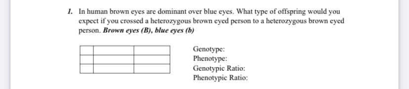 1. In human brown eyes are dominant over blue eyes. What type of offspring would you
expect if you crossed a heterozygous brown eyed person to a heterozygous brown eyed
person. Brown eyes (B), blue eyes (b)
Genotype:
Phenotype:
Genotypic Ratio:
Phenotypic Ratio:
