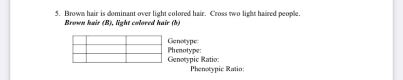 5. Brown hair is dominant over light colored hair. Cross two light haired people.
Brown hair (B), light colored hair (b)
Genotype:
Phenotype:
Genotypic Ratio:
Phenotypic Ratio:

