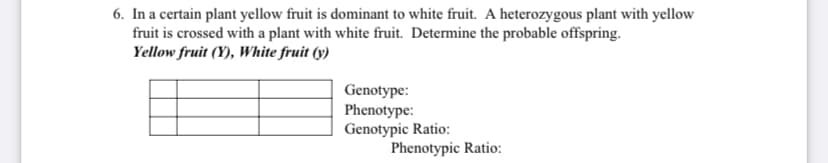 6. In a certain plant yellow fruit is dominant to white fruit. A heterozygous plant with yellow
fruit is crossed with a plant with white fruit. Determine the probable offspring.
Yellow fruit (Y), White fruit (y)
Genotype:
Phenotype:
Genotypic Ratio:
Phenotypic Ratio:
