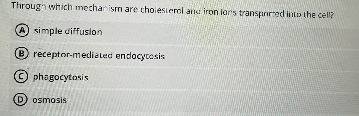 Through which mechanism are cholesterol and iron ions transported into the cell?
A simple diffusion
B receptor-mediated endocytosis
© phagocytosis
D osmosis
